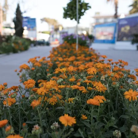 Haniotis Faliraki